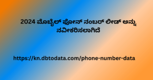 2024 ಮೊಬೈಲ್ ಫೋನ್ ನಂಬರ್ ಲೀಡ್ ಅನ್ನು ನವೀಕರಿಸಲಾಗಿದೆ