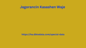 Jagorancin Kasashen Waje