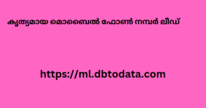 കൃത്യമായ മൊബൈൽ ഫോൺ നമ്പർ ലീഡ്