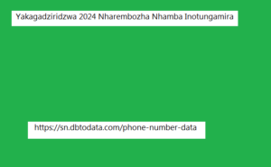 Yakagadziridzwa 2024 Nharembozha Nhamba Inotungamira