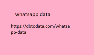 whatsapp data